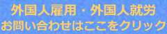ビザ・ビザのお問い合わせ先